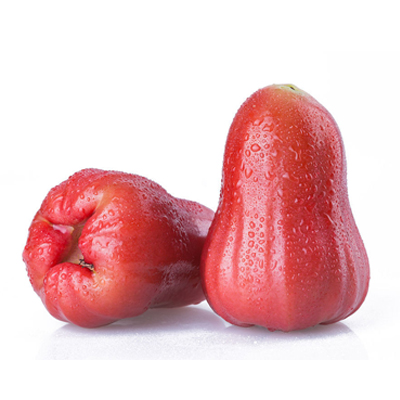 Wax apple-Taiwan fruit-久泰现代农业有限公司-