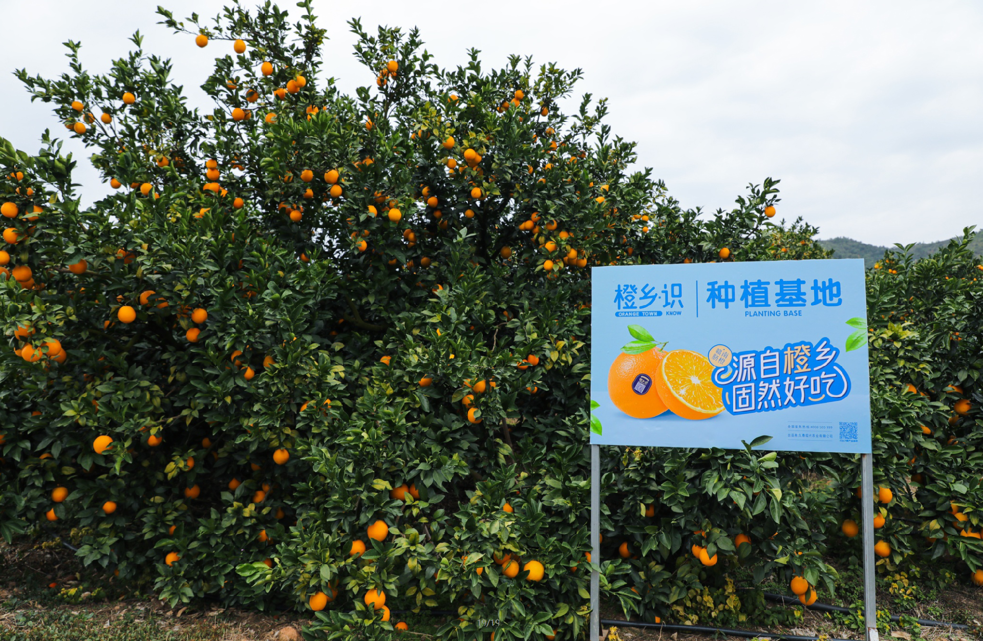 1642403036465061.png 微信图片_20211130141031.png