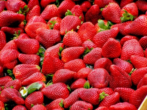 strawberries-red-fruit-royalty-free-70746.jpeg