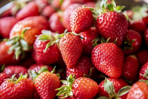 strawberry-5079237_960_720.jpeg
